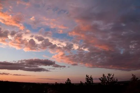 Colorful sunset with clouds and trees Stock Photos