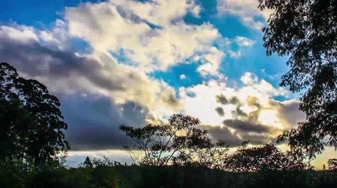 Colorful sunset with clouds behind trees timelapse (color corrected) Stock Footage 45056662