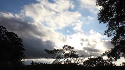 Colorful sunset with clouds behind trees timelapse Stock Footage 45056843