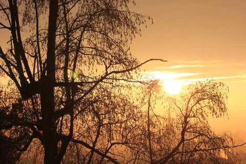 Colorful sunset on a cold winter evening Stock Photos