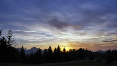 Colorful sunset dramatic sky with black silhouettes of trees in forest, fairy Stock Footage 252884978