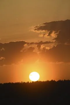 Colorful sunset in the evening. The setting disk of the sun over the forest.. Foto stock