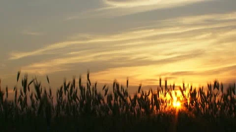 Colorful sunset Stock Footage 21225267