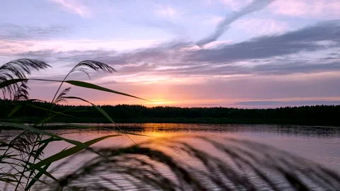 Colorful sunset on the lake in the forest which is reflected on the water Stock Footage 143496341