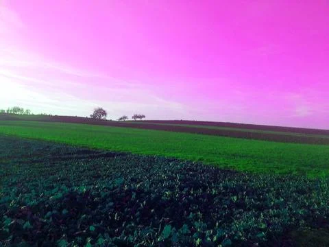 Colorful sunset over fields Stock Photos