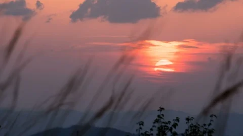 Colorful Sunset over grass Time lapse Stock Footage 89583282