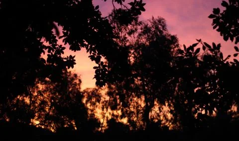 Colorful Sunset Stock Photos