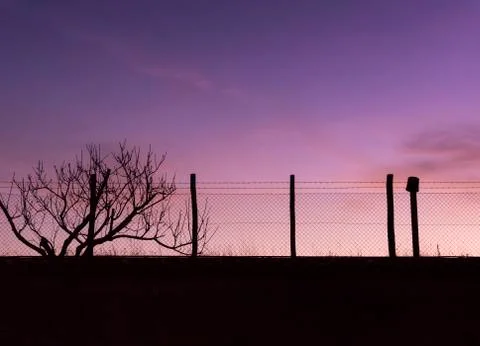 Colorful sunset Stock Photos