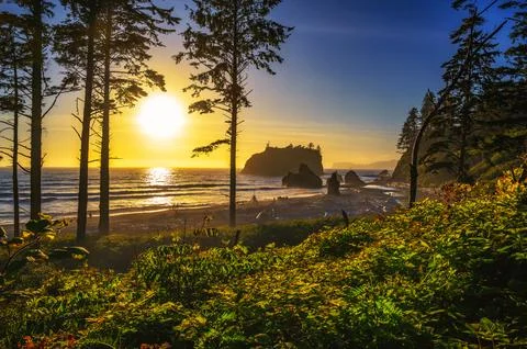 Colorful sunset at Ruby Beach in Olympic National Park, Washington state Foto stock