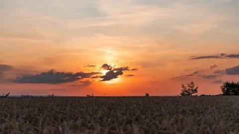 Colorful sunset time lapse in the middle of a field Stock Footage