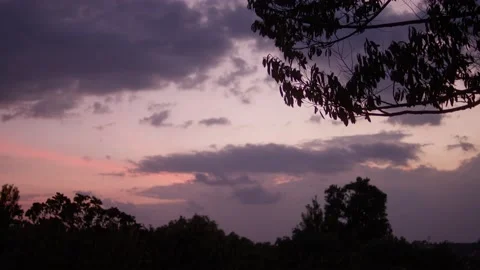 Colorful Sunset in the Trees Video stock 194854734