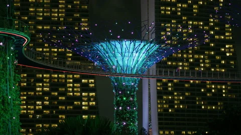 Colorful Supertree, at night Stock Footage 218559287