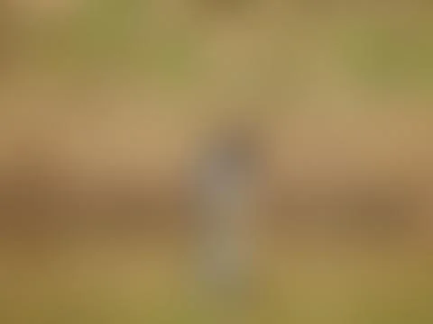 Colorful surface blurred gradient background Stock Photos