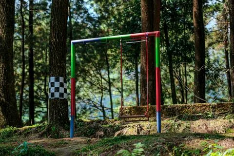 Colorful Swing Set in Forest with Checkered Flag Фото