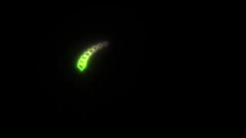Colorful swirl of light in dark space with abstract motion Stock Footage 338065795
