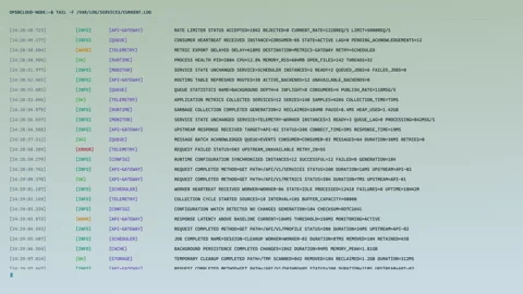 Colorful System Status Terminal With Live Server Monitoring Data Stock Footage 346408779