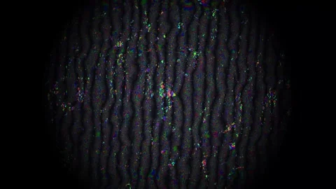 Colorful texture with patterns created by light on a dark Stock Footage 338280647
