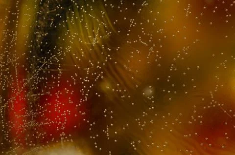 Colorful Texture Stock Photos