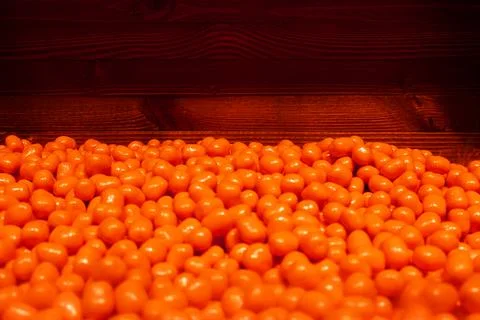 Colorful texture using as background. A lot of sweets. Background 3d rendering Stock Photos
