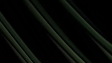 Colorful textures in motion. Moving image. Advertising background. Video stock 195512361