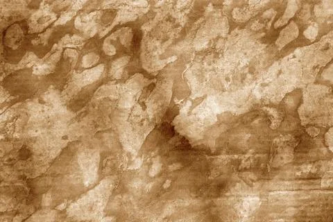 Colorful textures of natural patterns Stock Illustration