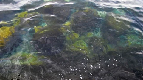 Colorful tide top view Stock Footage 126901245