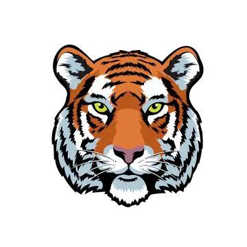 Colorful Tiger head mascot vector Stock Illustration