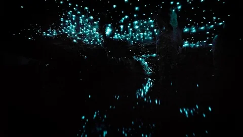 Colorful time-lapse of glow worms in cave over water Stock Footage