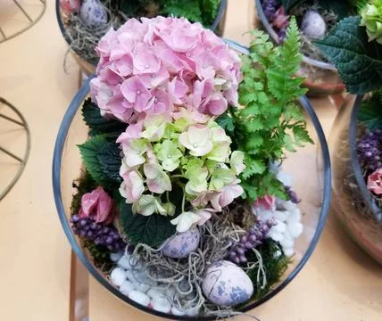Colorful tiny hydrangea flowers inside of a glass terrarium Stock Photos