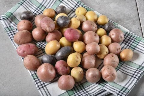 Colorful tiny potatoes Stock Photos