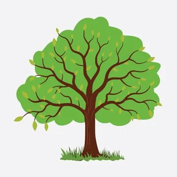 Colorful Tree Illustration Vector EPS Stock-Illustration