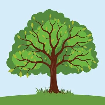 Colorful Tree Illustration Vector EPS Illustrazione stock