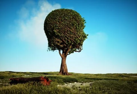 Colorful tree shaped as a human head. Self development and growth concept. Stock Illustration