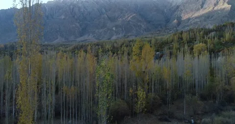 Colorful trees on the mountain peak in Spring, Pakistan Stock Footage 166367729