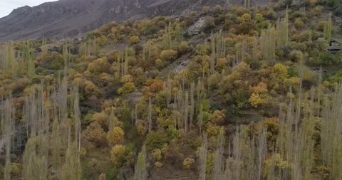 Colorful trees on the mountain peak in Spring, Pakistan Stock Footage 166368636