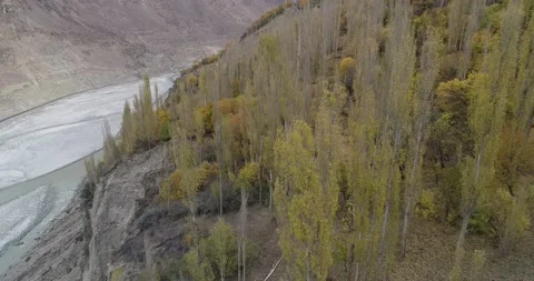 Colorful trees on the mountain peak in Spring, Pakistan Stock Footage 166368966
