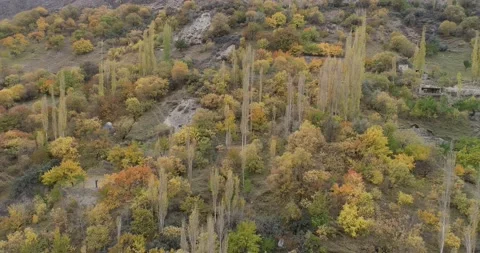 Colorful trees on the mountain peak in Spring, Pakistan 스톡 동영상 166369373