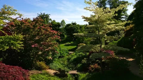 Colorful trees in Parc de Haute Bretagne botanical garden, France. Aerial 스톡 동영상 313983436