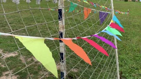 Colorful triangle flags on the string waving in the wind on a soccer field ne 写真素材