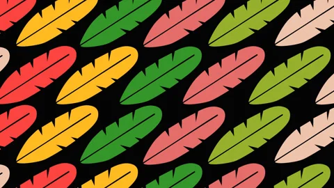 Colorful Tropical Feather Seamless Pattern on Black Background Loop Animatio Stock Footage 340298399