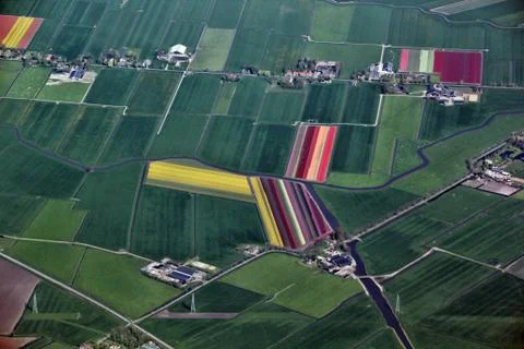 Colorful Tulip Fields springtime Netherlands from the sky 写真素材