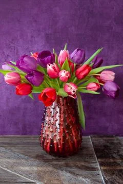 Colorful tulips in spring Foto stock