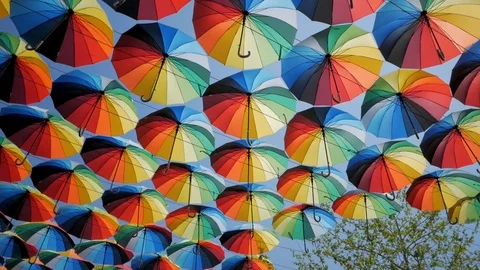 Colorful umbrellas Stock Footage 110923051