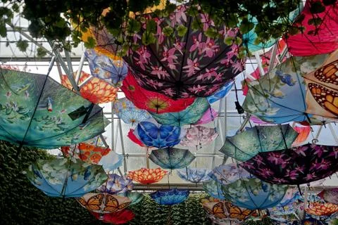 Colorful umbrellas hanging from the ceiling of a structure with a glass roof. Stock Photos