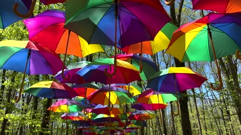 Colorful umbrellas. The path through the forest covered by colorful umbrellas. Stock Footage 240698581