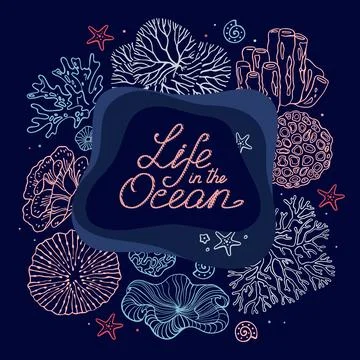 Colorful vector hand drawn doodle cartoon set of Sea Life theme items, objects Stock Illustration
