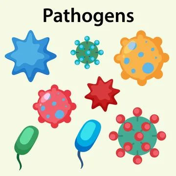 Colorful Vector Illustration of Various Pathogens and Microbes Stock Illustration