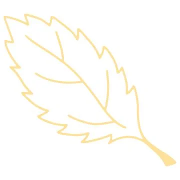 Colorful Vector Leaf Illustration on White Background. Stock Illustration