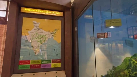 Colorful Vector Map of India – Editable Design Stock Footage 313562135