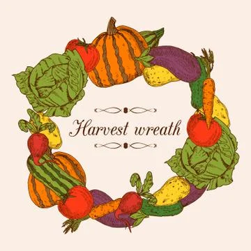 Colorful Vegetables Frame 스톡 일러스트